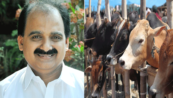 "voteormeiwillensuregoodbeef":bjpcandidateforkeralaloksabhabypollcampaign