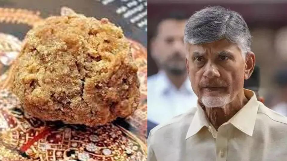 Over 20 cr Laddus Were Made With Adulterated Ghee, says Naidu