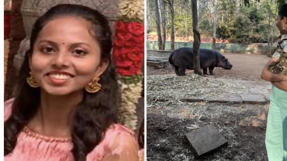 Veterinary Doctor Killed In Hippopotamus Attack At Zoo In Karnataka 
