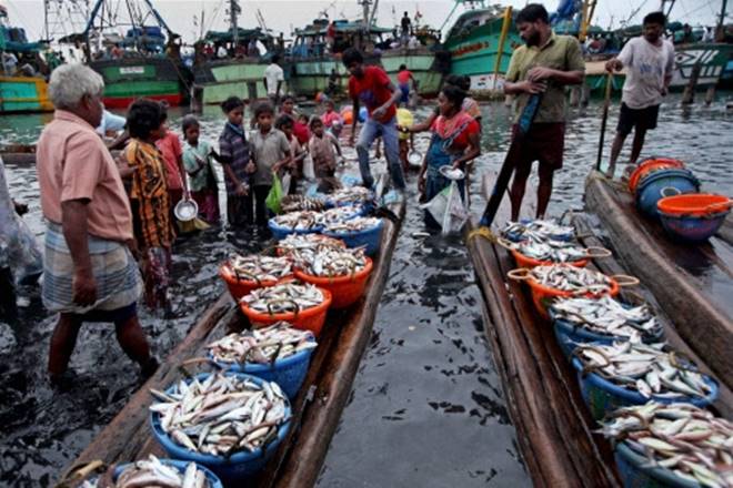 goalikelytobanfisheriesexportstocheckrisingfishprices