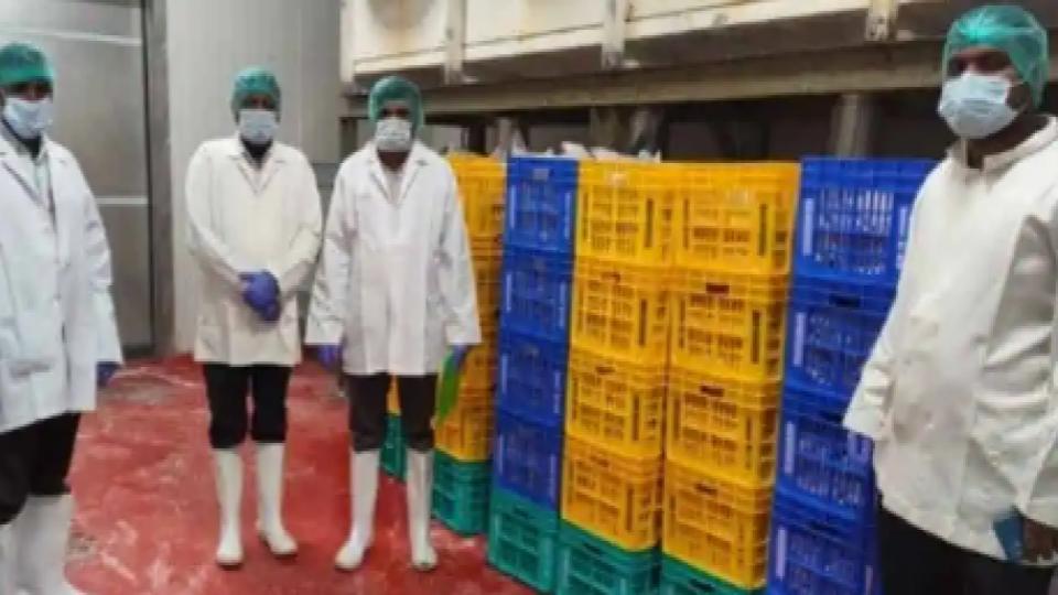 Food Safety Dept seized 1,033 kg of food products in Karnataka