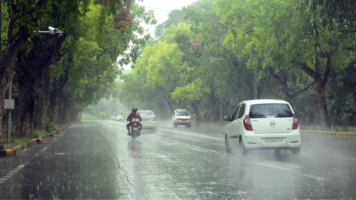 rainlashesdelhincr