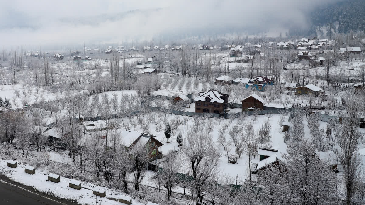 kashmirvalleycontinuestoshiverunderseverecold