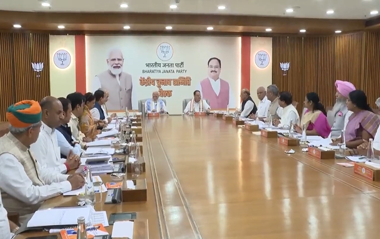 pmnarendramodichairsbjpcecmeeting