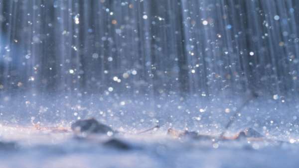 countryreceives31percentexcessrainfallduringthismonsoon:imd