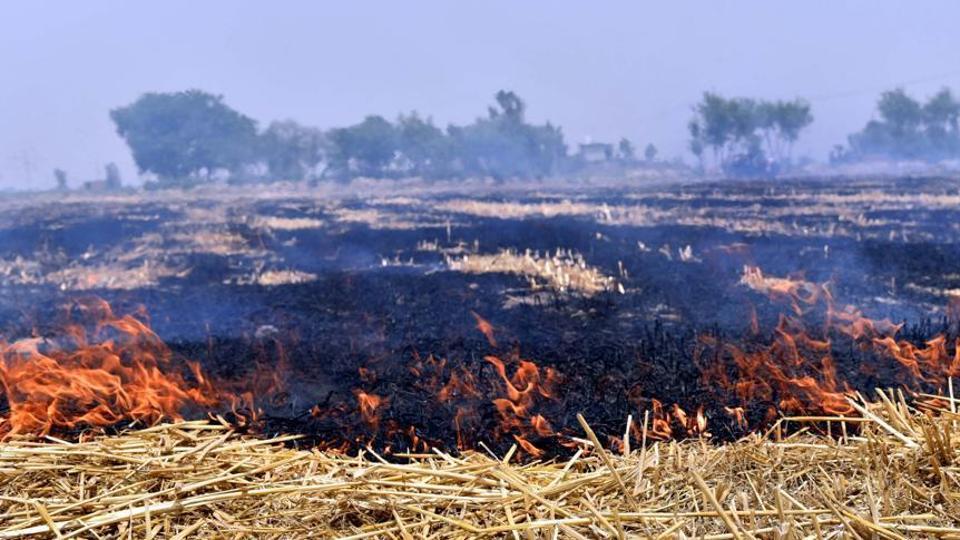 punjabseeksrs2kcrfromcentretostoppaddystrawburning