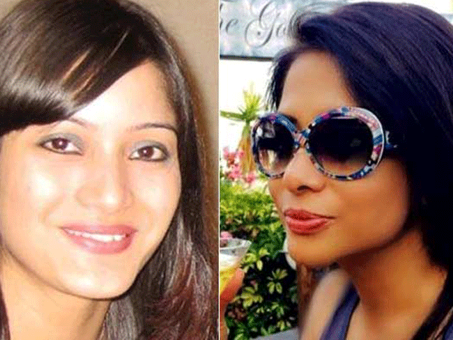 specialcbicourtadjournshearingonbailofindranitillmarch31insheenaborasmurdercase