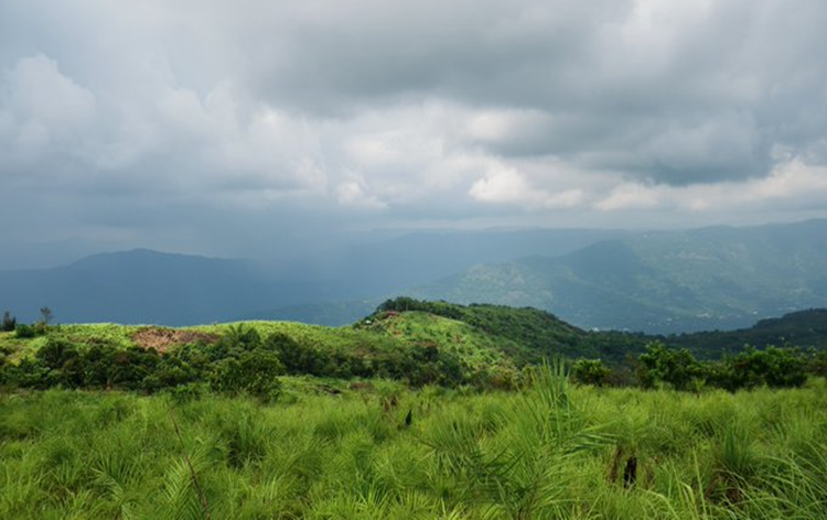 heavyrainscontinueinkeraladuetoeffectofsupercyclonebiporjo