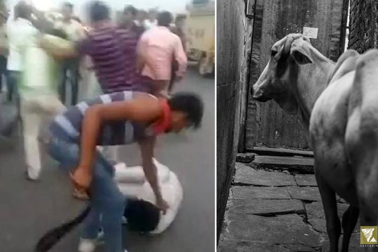 mantransportingcowsmurdered:rajasthanpolicearrests2identifies4