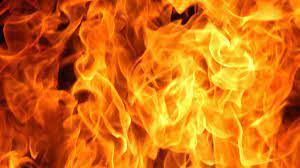 doctortwochildrendieinhospitalfireatrenigunta