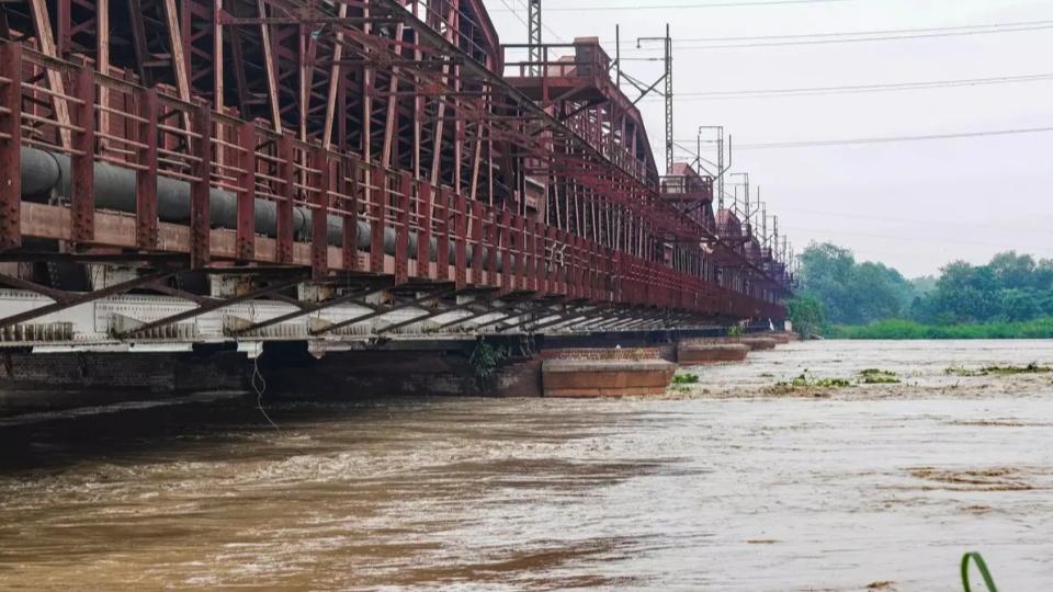 Man jumps off Yamuna bridge during video call with sister, search on