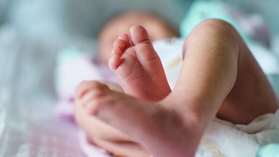 Vijayawada police Arrested Childless Couple 
