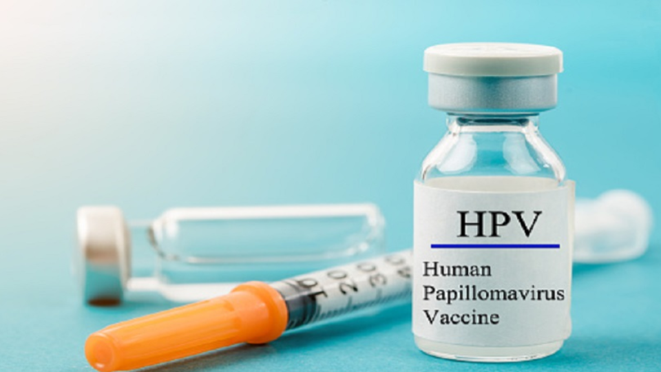 PM Modi To Launch Nationwide HPV Vaccination Prog For Girls From Ajmer, Rajasthan