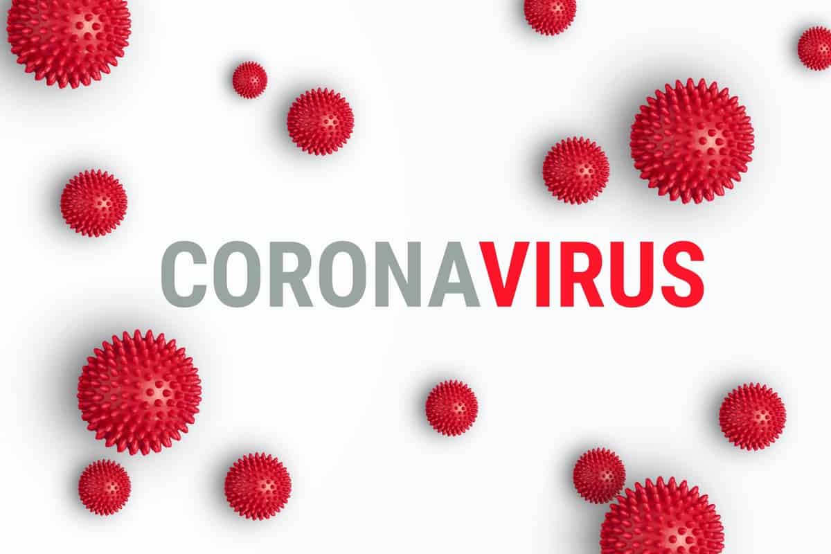 secondcoronaviruscasereportedintelangana