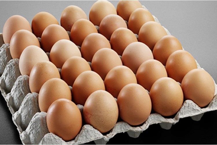 eating50eggchallengeprovesfatalforupman