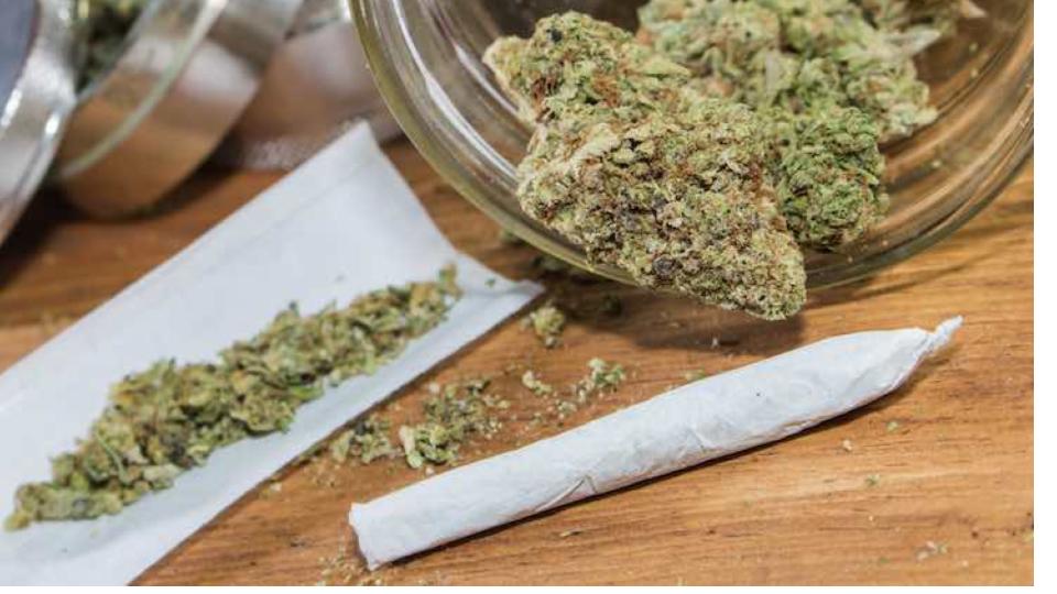 290 Kg of Cannabis Headed for Sri Lanka Seized Near Rameswaram