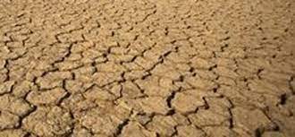 acentralteamtovisitkarnatakaon5thoctober2023tostudydroughtsituation