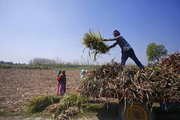 wedidnotaskforthisfreedom:voicesoffarmersfrombeyondpunjabharyana