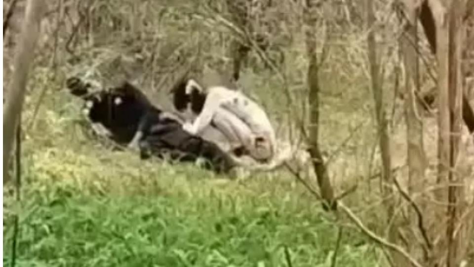 Andhra Couple Injured After Live Power Wires Fall on Them in Forest Area