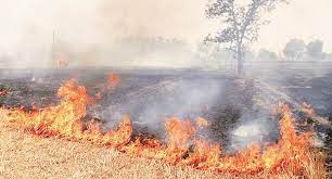 centreaskspunjabgovttotakeeffectiveactionstostopfurtherstubbleburninginremainingdaysofthisharvestseason