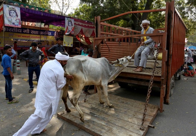 cowvigilantesstoptrucksongovernmentdutyinrajasthanthrashtnofficials