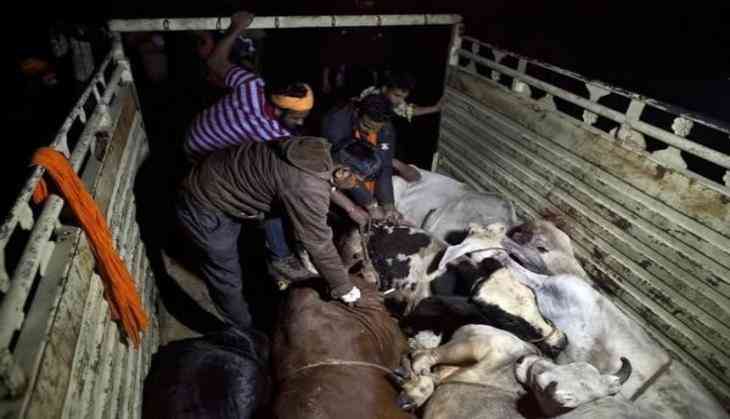 alwar:anothershootoutbetweenpoliceandmencarryingcattle