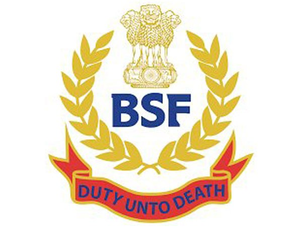 bsffoilsmajorinfiltrationbidalongibinsambadistrict