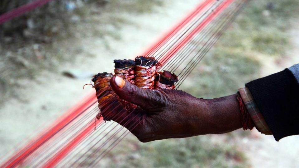karnatakabansmetalglasscoatedkitemanjatoprotectbirdsandhumans
