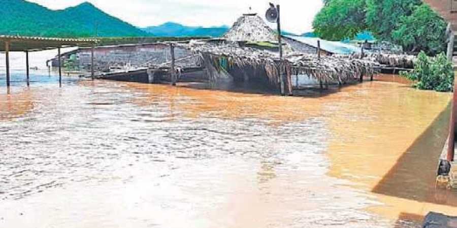 roadcutofftovillagesalonggodavariinap