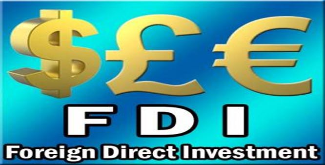 govtapprovessevenfdiproposalstotuneofrs290crore