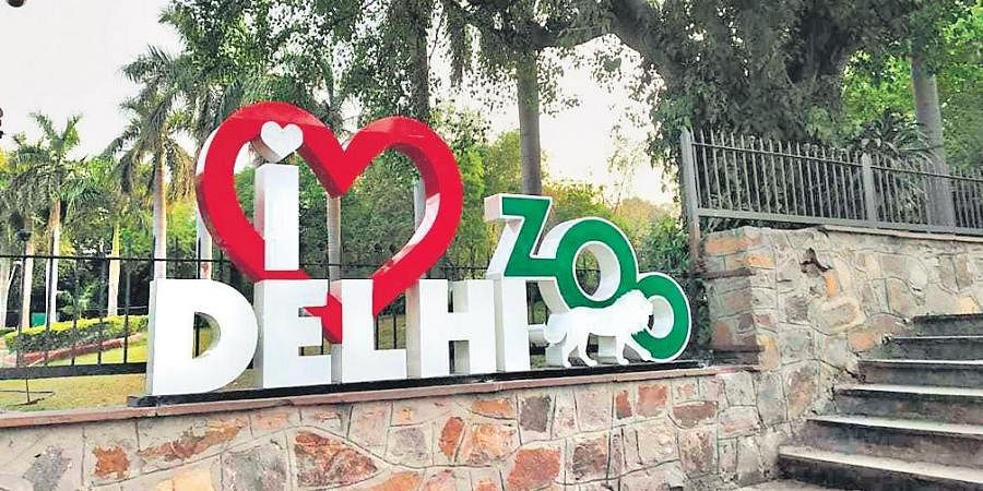 delhizooreopensforvisitorsfromtoday