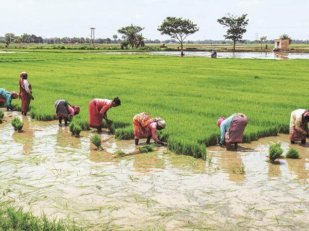 rs11000crfarmloansexpendbytelanganagovtduringongoingcovid19crisis