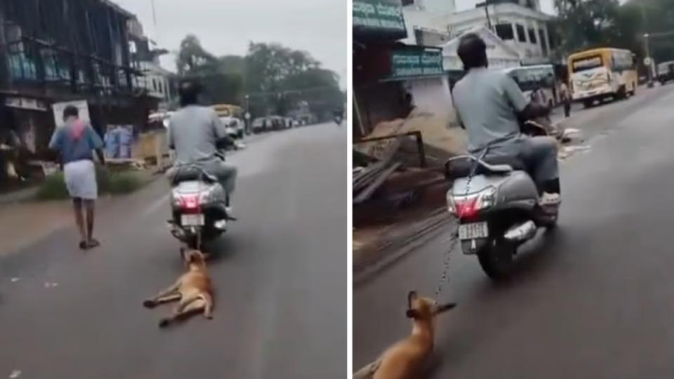 videoofmantiesdeaddogtoscooteranddragsitinkarnataka
