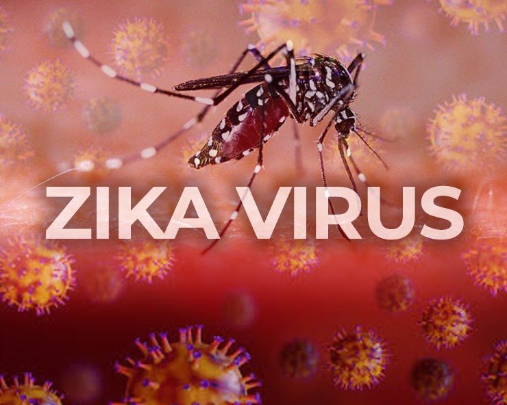 maharashtrareportsfirstcaseofzikavirus
