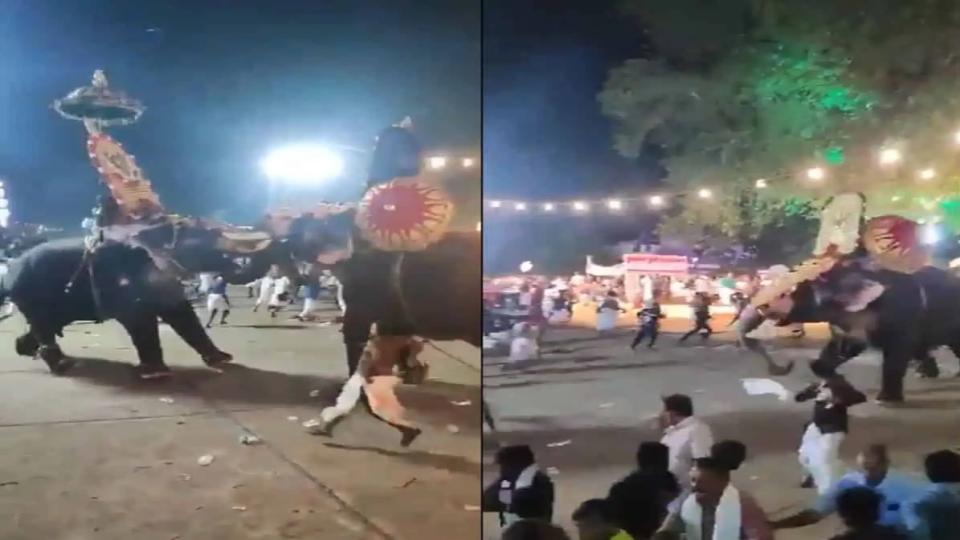 elephantsclashduringkerala’stemplefestivalinthrissur