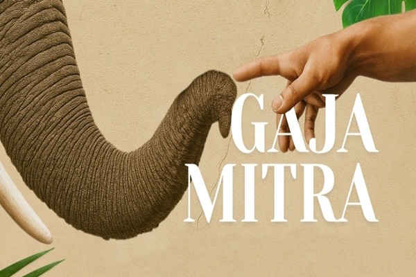 Assam Cabinet approves Gaja Mitra Scheme to tackle human-elephant conflict