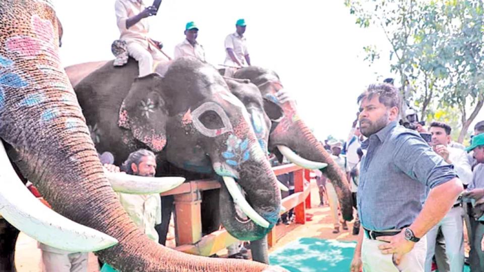 Pawan Kalyan inaugurates elephant training centre in Chittoor