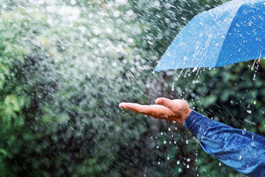  Country Likely To Experience Above-Normal Monsoon Rainfall This Year: IMD
