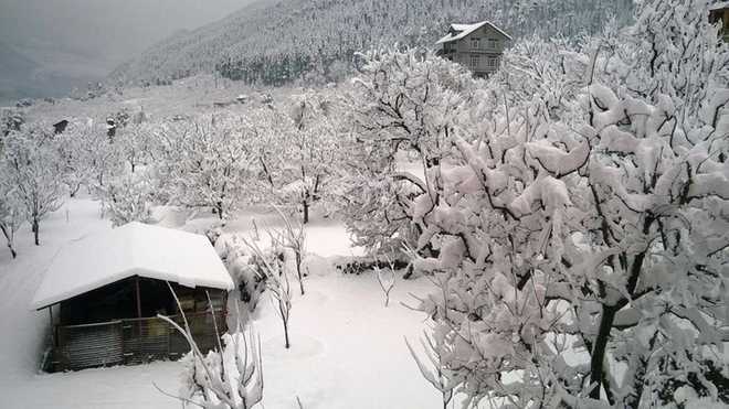 moderatesnowfallexperienceinhighaltitudeareasinhimachalpradesh