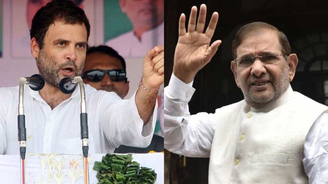 gujaratassemblypolls:ncptofightinalliancewithcongress