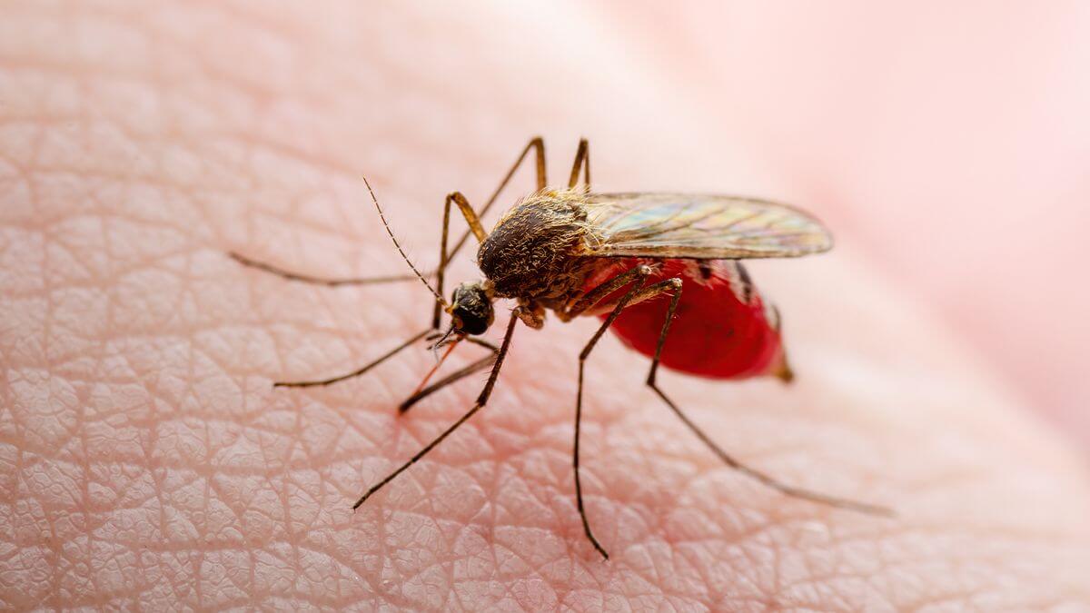 keralaseessteepriseindenguecaseswith1075infections