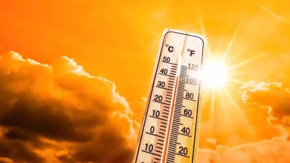 Severe Heatwave Alert Issued in Several Parts Across Andhra Pradesh