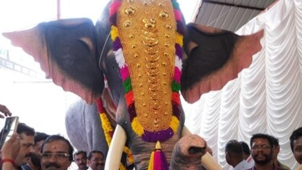 Elephant runs amok at temple festival in Kerala