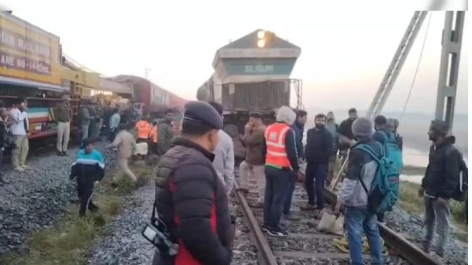 Eight elephants killed after Rajdhani Express hits herd in Assam