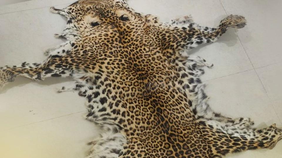1heldwithleopardskininodisha’smayurbhanj