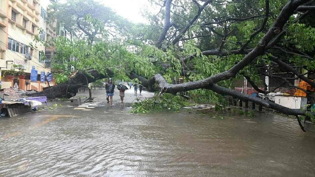 24dead5lhectareofcropsdestroyedinkarnataka