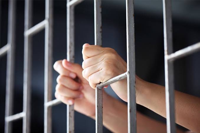twoterroristassociatesdetainedunderpsainbudgamjk