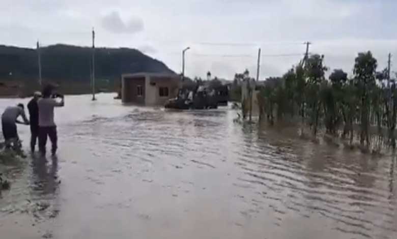 heavyrainlashesandhrapradesh