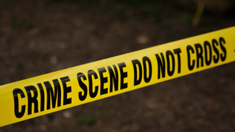 Woman, Two Minor Daughters Found Dead in Jaipur Pond