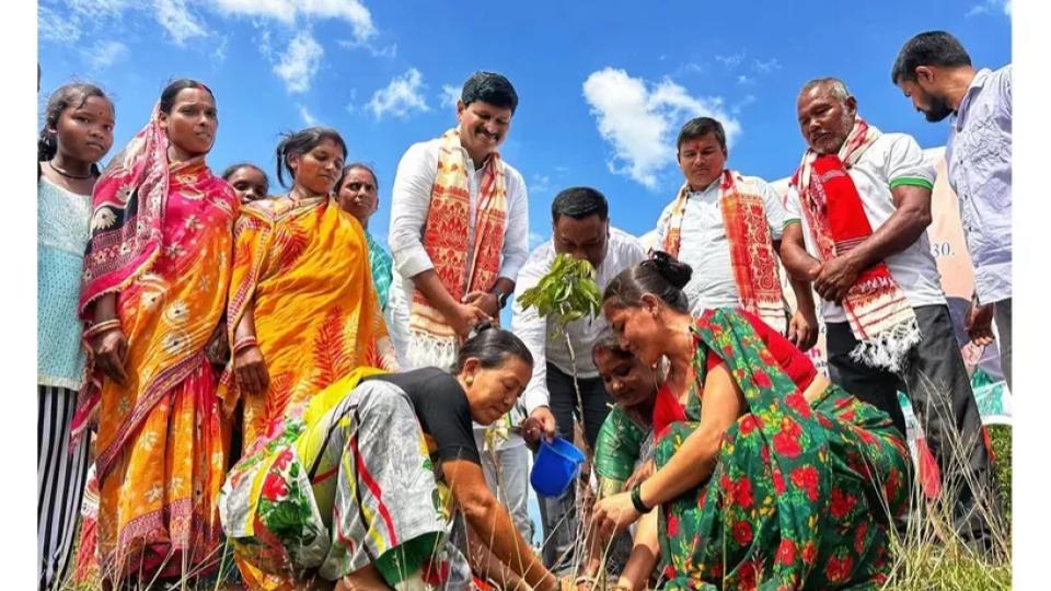 greenindiachallengeinassamtoplantonecroresaplingsinassamby2030